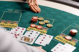 83 bets